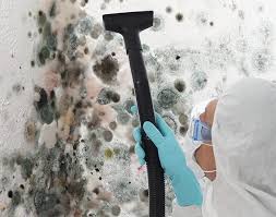 Biohazard Mold Removal in North Lakeport, CA